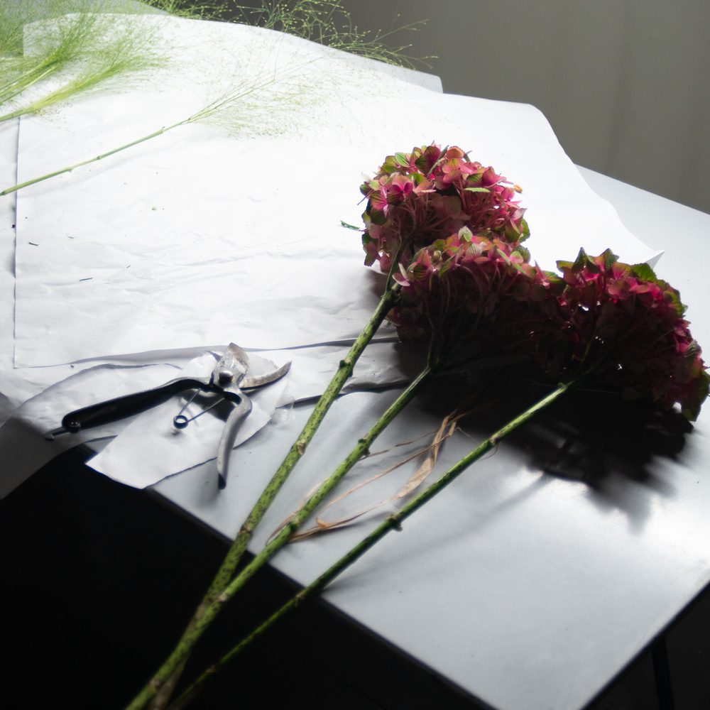 Hortensias et sécateur dans l’atelier floral FLWR