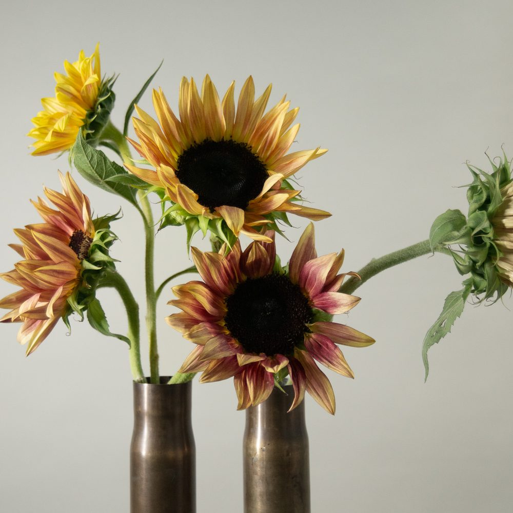 Tournesols de saison mis en scène par FLWR